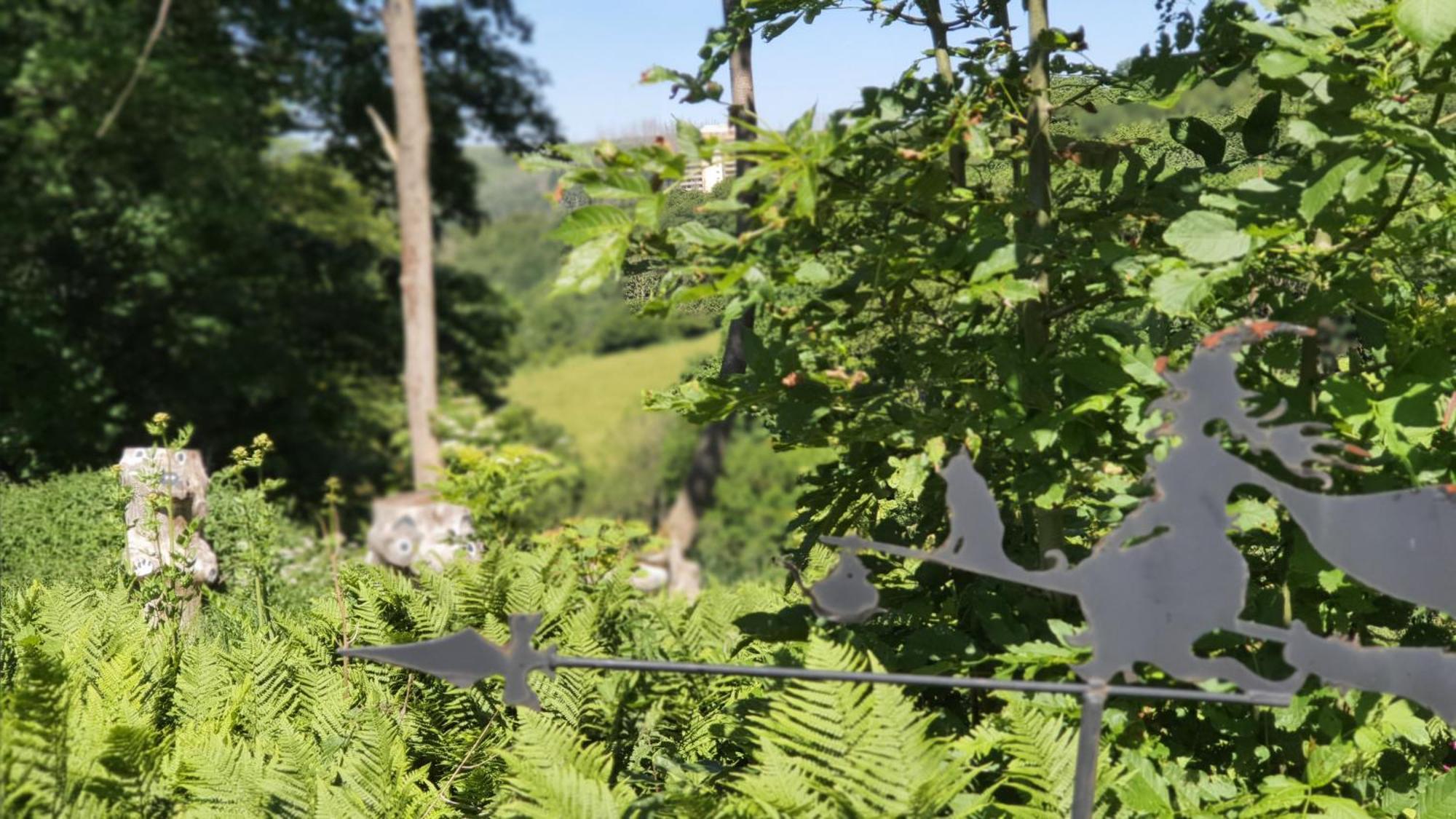 Hotel Schneiderhof Braunlage Dış mekan fotoğraf