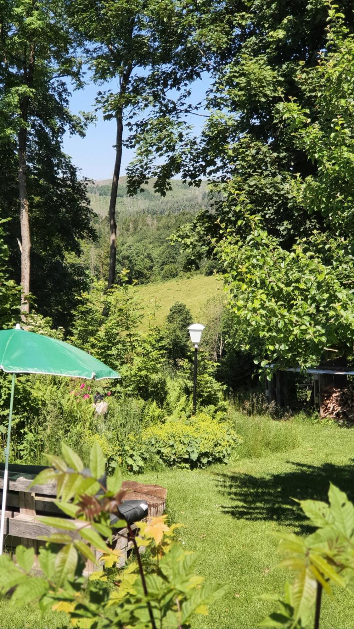 Hotel Schneiderhof Braunlage Dış mekan fotoğraf